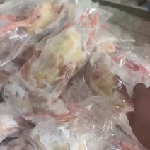 一级货8-9两鸽子，刚做了四五天，4000只