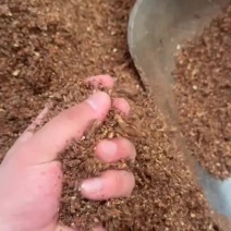 枣粉高糖香甜喂牛羊鸡鸭鹅