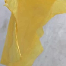 鲜豆油皮冷藏一手货源全国发货量大价优欢迎随时联系