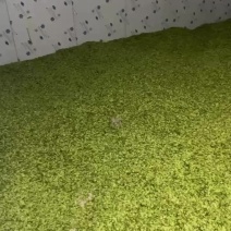 榆钱河南产地直发商超市场电商一件代发