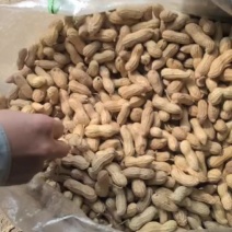黑花生果