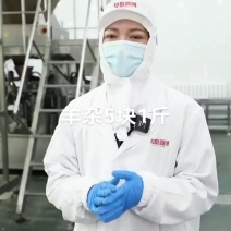 #望向窗外的小狗羊杂5块1斤，入伏必备，狂野滋味！草原羊杂