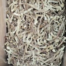 如意情瓶栽鹿茸菇到货啦