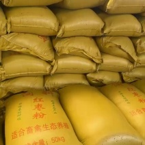 红枣粉高糖高能量喂牛喂羊鸡鸭鹅好东西
