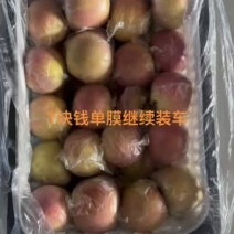 本地单膜富市苹果
