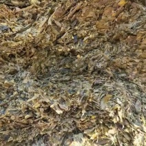 双三十标准。全珠青储