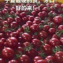 玲珑红