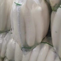 白萝卜
