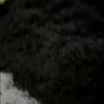 毛峰绿茶