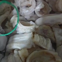 脆肚