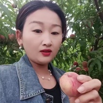马谷田正宗朱砂红血挑