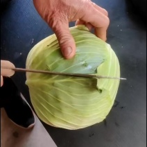 包菜