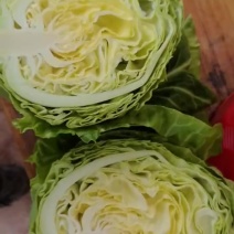 甘蓝