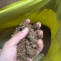 红枣粉高糖好消化喂牛羊鸡鸭鹅都可以
