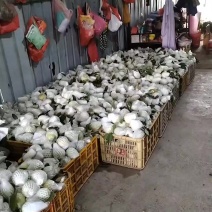 广西珍珠白番石榴一级货