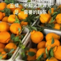 不知火丑橘，产地一件代发