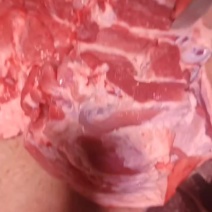 纯干猪腿肉