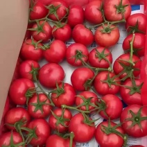 精品串果