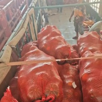 电商货，各种平台。品质高，售后少。支持集采，批发市场
