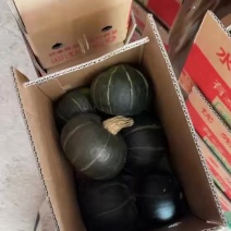 电商代发，批发都可。昌乐瓜马上到，我们的天下来了