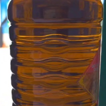 ［***]纯菜籽油农家自榨纯正压榨浓香菜籽油非转基因