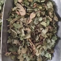 鸡娃草中药材蓝雪草刺矾松，新货鸡娃草干净无杂质