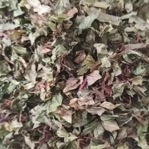 鸡娃草中药材蓝雪草刺矾松，新货鸡娃草干净无杂质