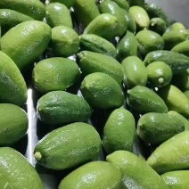 海南香水柠檬（子弹头）精品果，批发全国发货