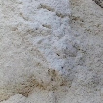 豆渣