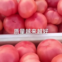 质量越来越好