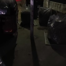 羊肚菌干货