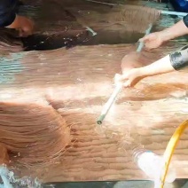 云南哈尼梯田米线