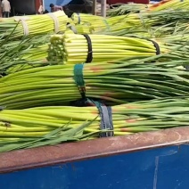 红帽蒜薹大量上市小捆长薹价格美丽