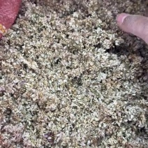 麻麻花山蒙花洋湖花