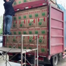 万亩薄皮泡椒，大小苏椒，青黑条，大小皱皮，螺丝，55号，