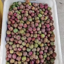 红心三华李