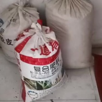 黄豆