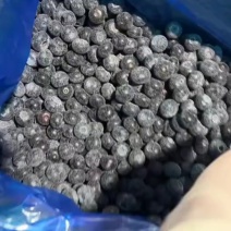 大量收购蓝莓冻果