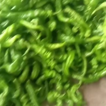 精品螺丝椒