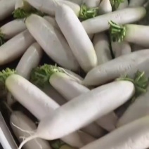 白萝卜