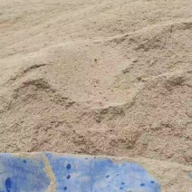 大量出售壳糠