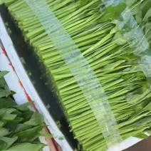 泡沫箱