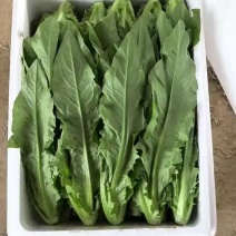 各类叶菜