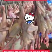 今天继续，精品原粮乳鸽鲜品冻品，发往全国各地，可以加工