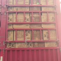 如意情瓶栽鹿茸菇厂家直销