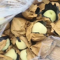 白青冠