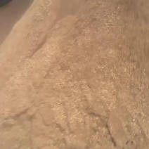 核桃粉香气扑鼻高脂肪育肥快