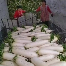 精品