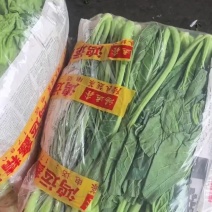 云南陆良包装水菜