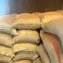 核桃粉香气扑鼻育肥快喂牛羊喂猪喂鸡鸭鹅都可以
